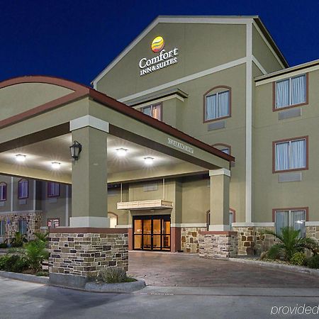 Comfort Inn & Suites Monahans I-20 מראה חיצוני תמונה