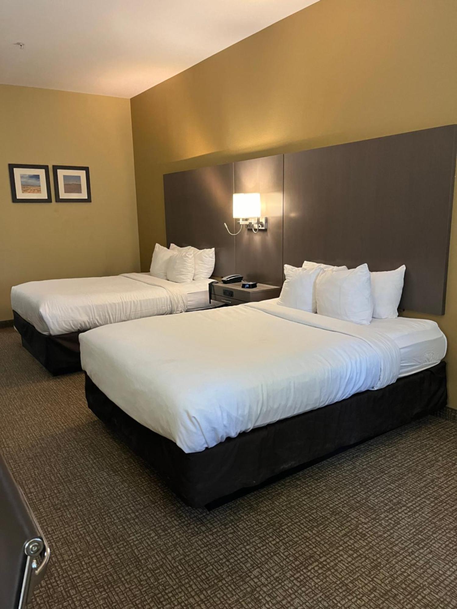 Comfort Inn & Suites Monahans I-20 מראה חיצוני תמונה
