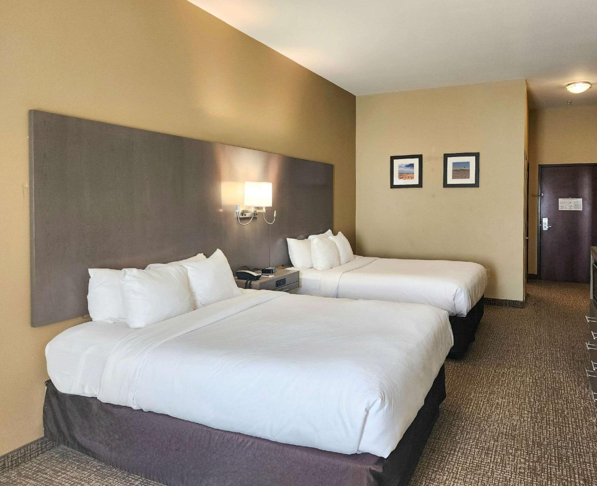 Comfort Inn & Suites Monahans I-20 מראה חיצוני תמונה